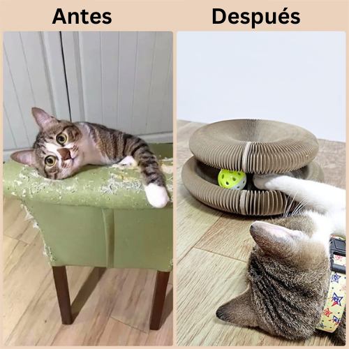 ❗️ Nuevo Producto | Joys™ - El rascador para gatos 🧩💖